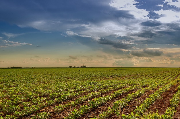 PIB de Goiás cresce mais que nacional pelo terceiro trimestre seguido