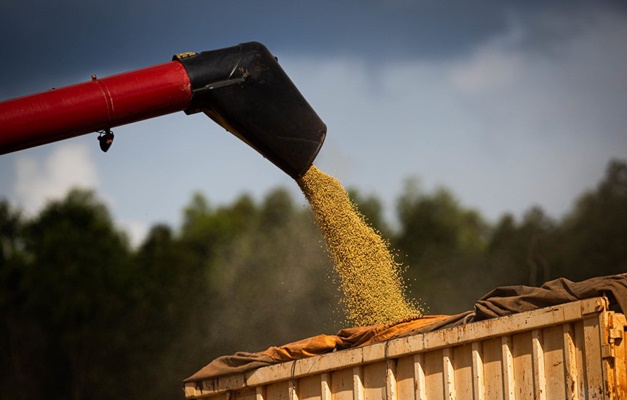 PIB goiano avança 2,7% em maio, puxado pela agropecuária