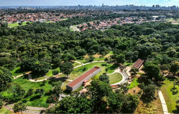Plano de Arborização Urbana de Goiânia entra em vigor