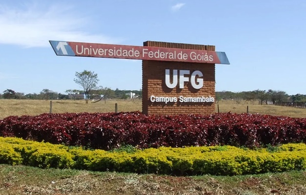 Plebiscito eletrônico vai definir adesão de professores da UFG à greve 