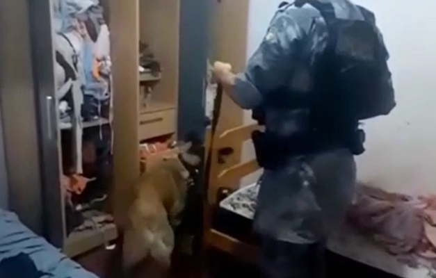 PM apreende drogas, eletrônicos roubados e mais de R$ 5 mil em Goiânia 