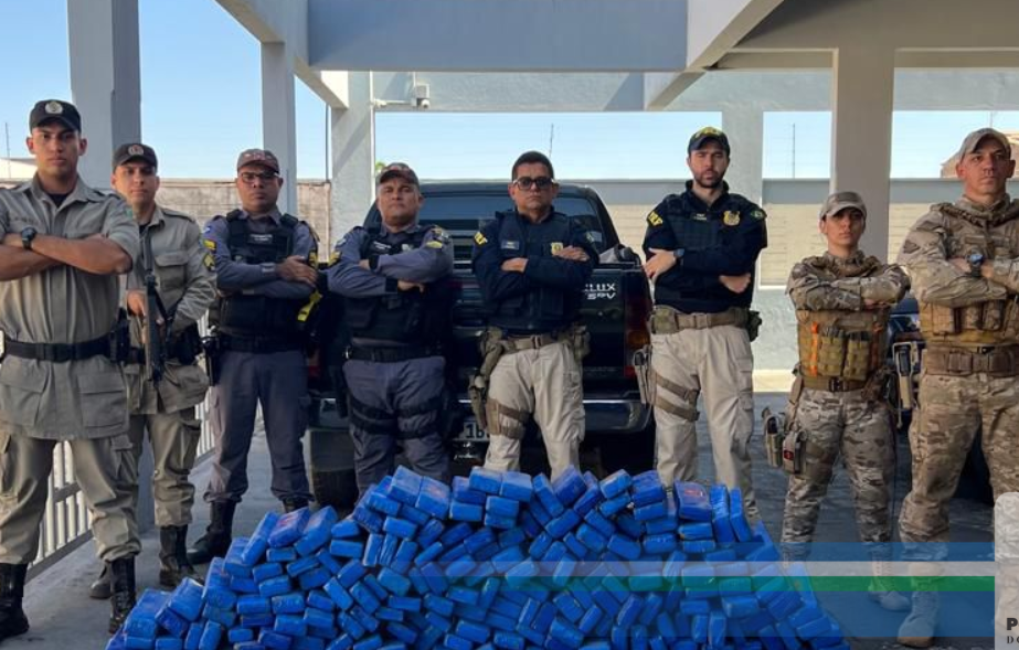 PM apreende mais de 200 quilos de maconha na região oeste de Goiás 