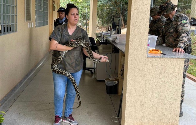 PM resgata jiboia que era mantida em cativeiro em Goiânia