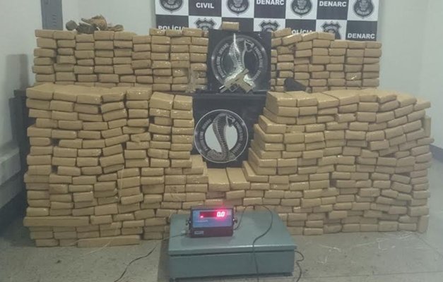Polícia apreende meia tonelada de droga em chácara de Abadia de Goiás (GO)