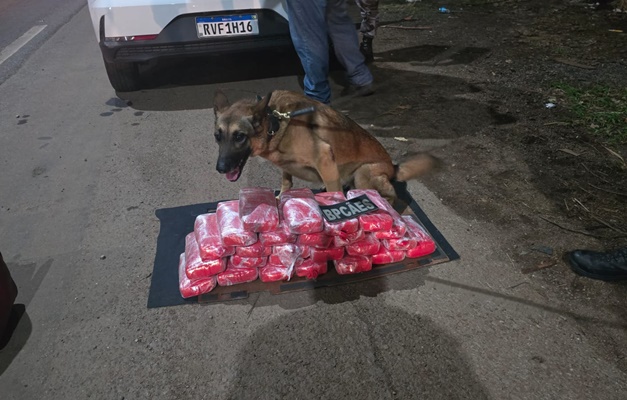 Polícia apreende pasta base de cocaína avaliada em R$ 600 mil em Goiânia