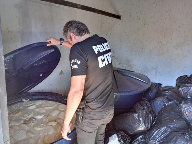 Polícia Civil desativa fábrica clandestina de produtos lácteos em Itauçu