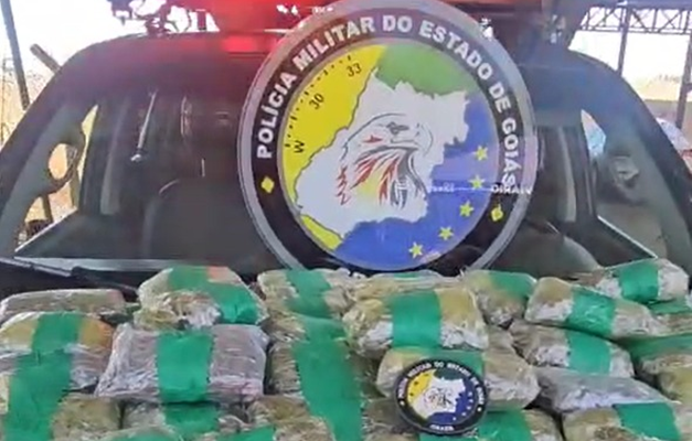 Polícia goiana apreende mais de 80 peças de maconha na GO-060
