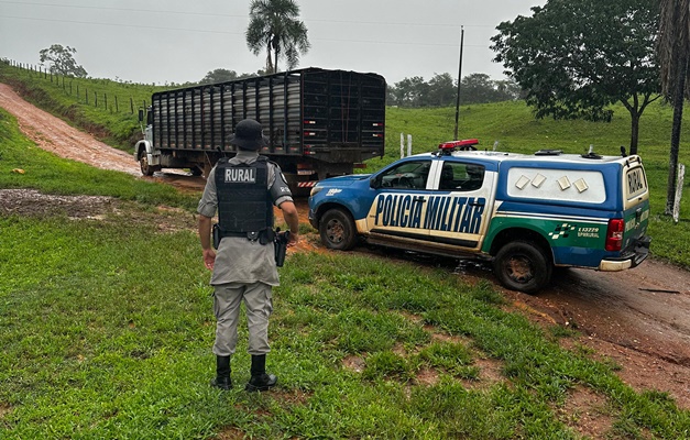 Polícia prende dupla durante furto de mais de 60 cabeças de gado em Jaraguá