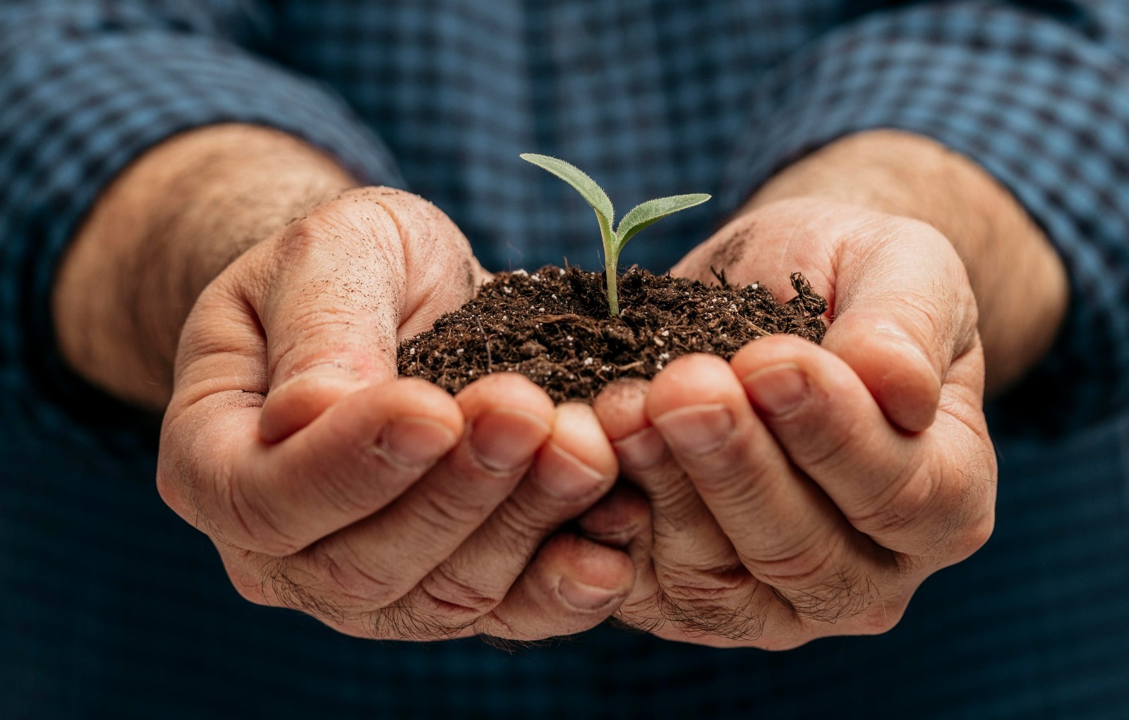 Polo Sebrae Agro oferece soluções para dia a dia do produtor rural 