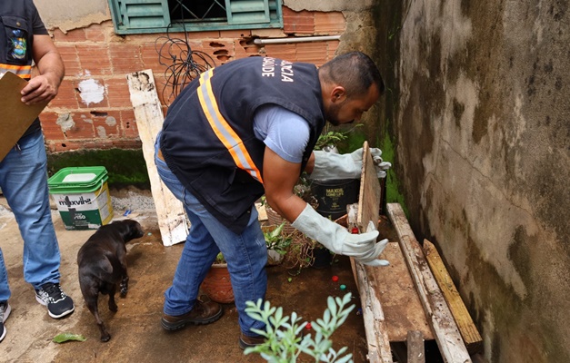 Possível surto de escorpiões assusta moradores do Conjunto Estrela do Sul