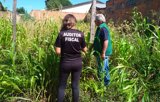 Prefeitura adota novo modelo de limpeza de lotes baldios em Goiânia 