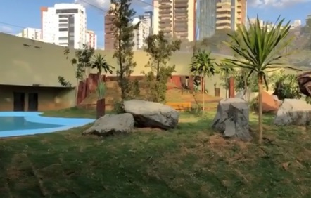 Prefeitura apresenta nova morada do urso Robinho no Zoológico de Goiânia