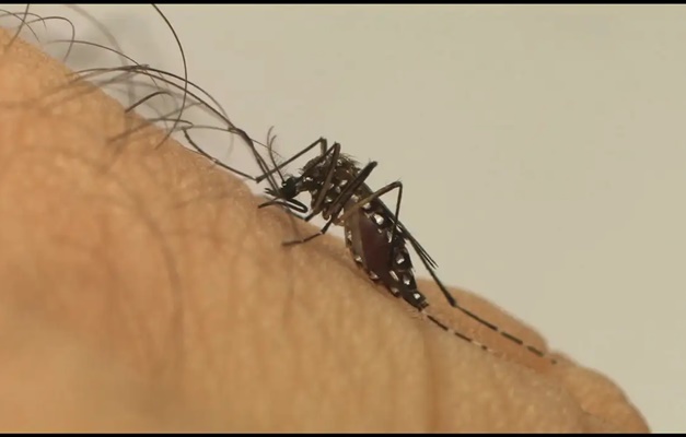 Prefeitura de Aparecida implementa tecnologia para combate ao Aedes aegypti