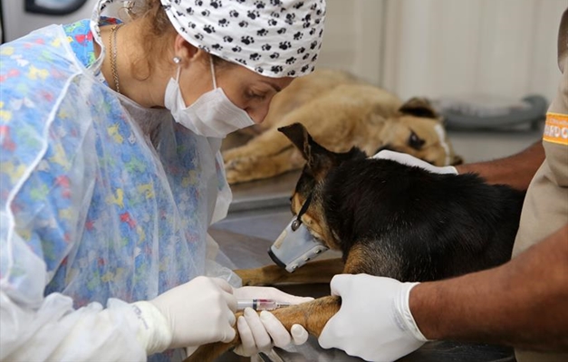 Prefeitura de Goiânia inaugura hospital público veterinário