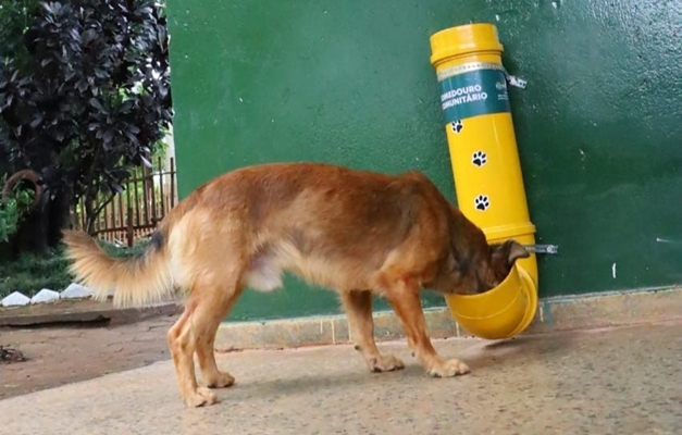 Prefeitura de Goiânia intensifica oferta de água para animais em parques