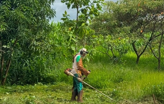 Prefeitura de Goiânia notifica mais de 600 proprietários de lotes em janeiro