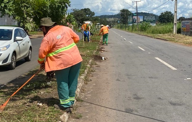 Prefeitura de Goiânia planta 189 árvores para substituir jamelões 