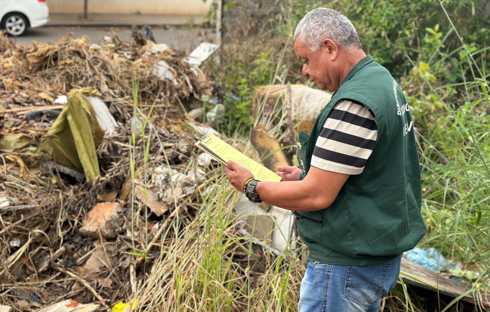 Prefeitura de Goiânia recolhe 95 escorpiões em 2025 e alerta população