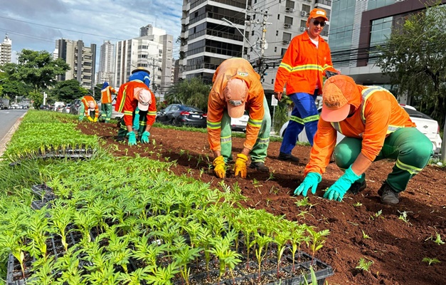 Prefeitura de Goiânia renova paisagismo em praças e canteiros da cidade