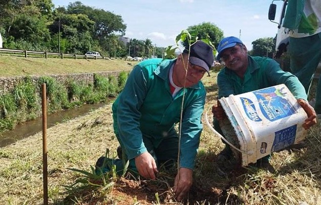 Prefeitura decide retirar plantas exóticas da Marginal Botafogo em Goiânia