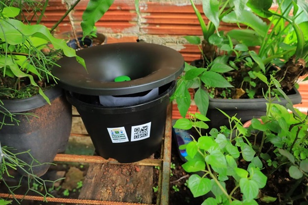 Prefeitura instala armadilhas contra mosquito Aedes aegypti em Goiânia