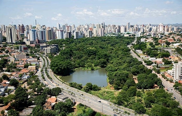 Prefeitura projeta plantio de um milhão de árvores em Goiânia até 2024