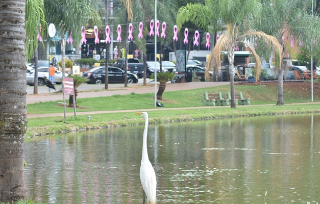 Prevenção ao câncer de mama: Parque Vaca Brava ganha 'abraço' de laços rosas