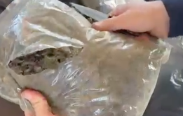 PRF apreende 70 quilos de skunk após parar veículos em Jataí