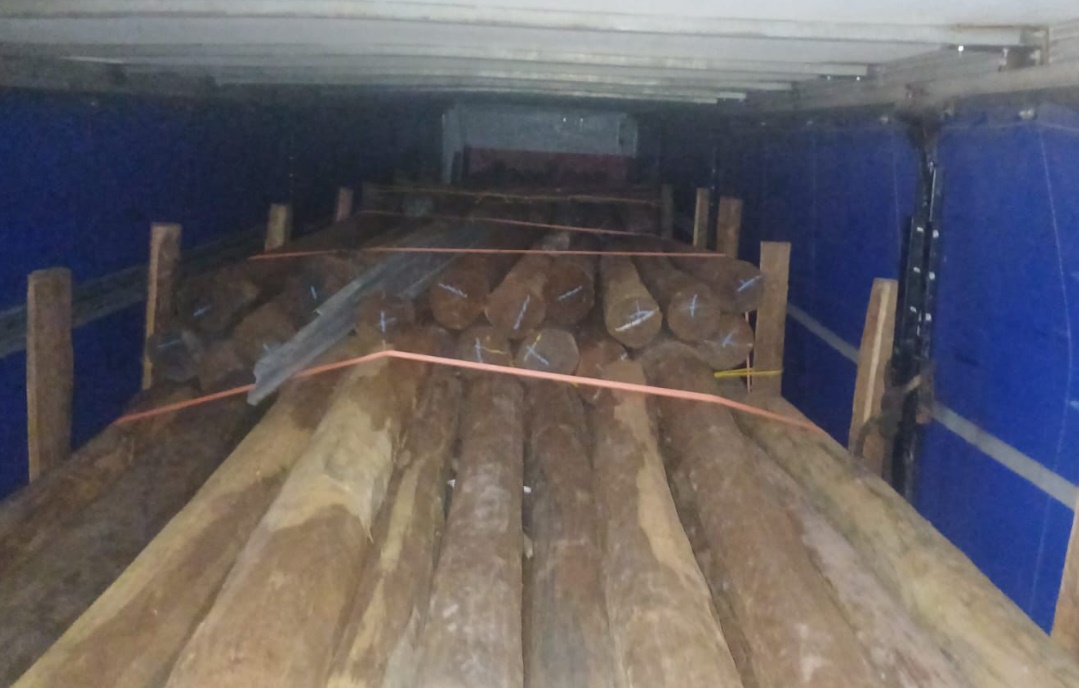 PRF apreende carga de madeira irregular em Jaraguá