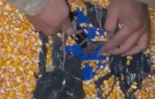 PRF apreende droga escondida em carga de milho em Hidrolândia
