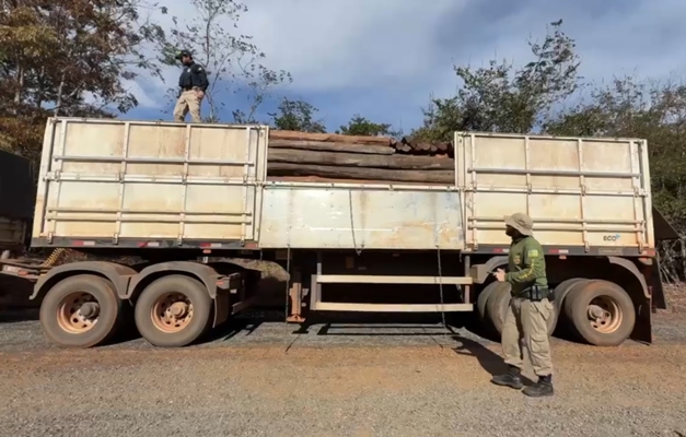 PRF apreende duas cargas de madeira irregular no mesmo dia em Goiás