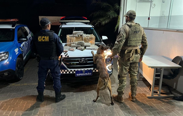 PRF e GCM apreendem cerca de 30kg de skunk em Goiânia 