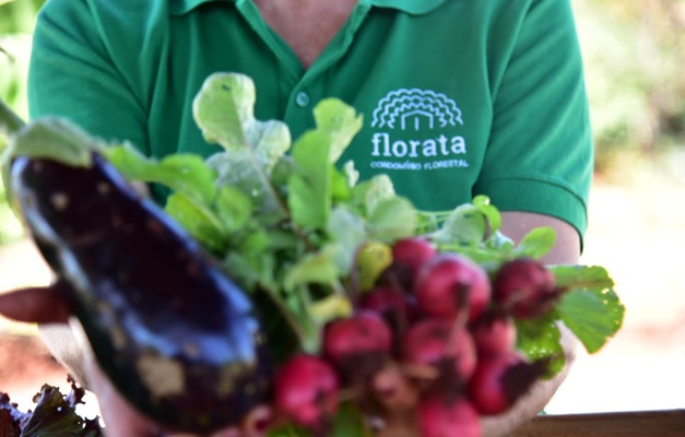 Primeira agrofloresta em condomínio do país é lançada em Goiânia
