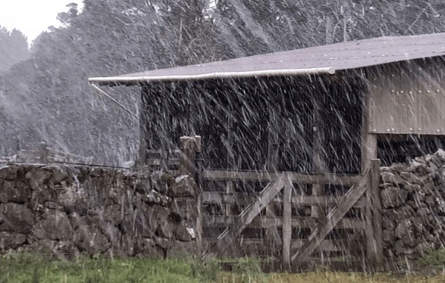 Primeira neve do ano chega ao Sul do Brasil 