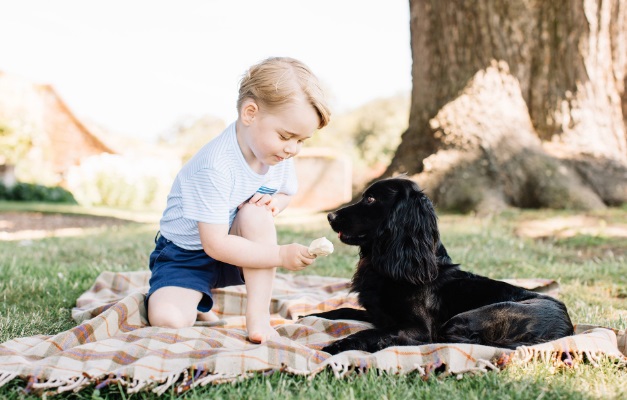 Príncipe George completa três anos e família real divulga fotos