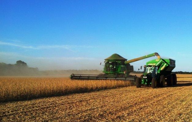 Produção Agropecuária em Goiás deve chegar a R$ 87,13 bilhões em 2021