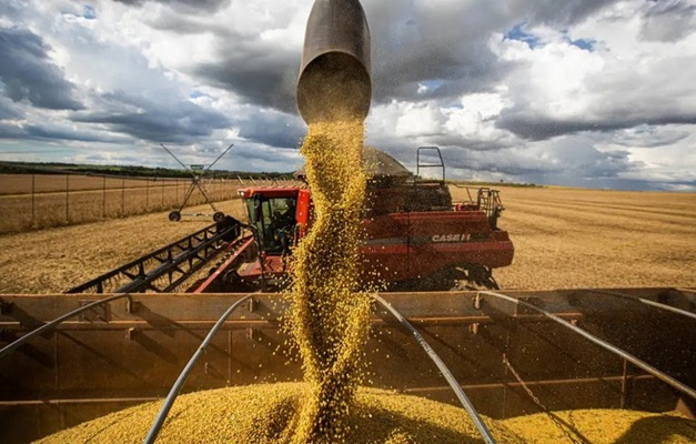 Produtividade em Goiás chega a 37,35 milhões de toneladas de grãos