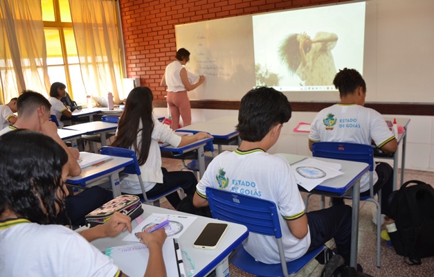 Professores efetivos são maioria na educação estadual de Goiás