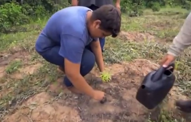 Programa Juntos pelo Araguaia é destaque na recuperação de áreas degradadas