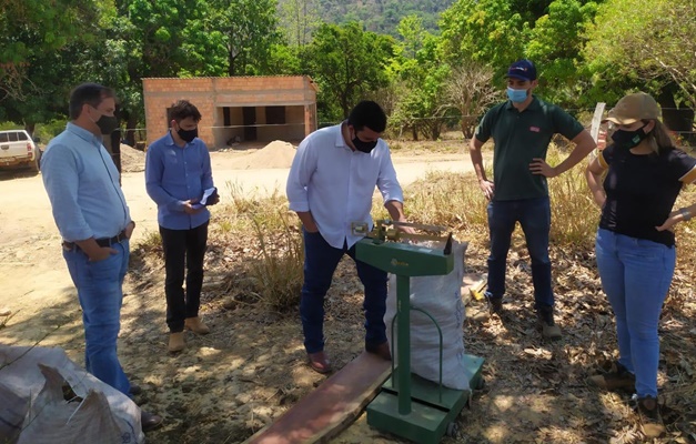 Projeto comprará 3 mil toneladas de mandioca para fabricar cerveja em Goiás 