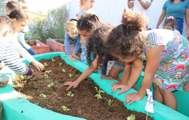 Projeto realiza oficinas de plantio em escolas municipais de Goiânia