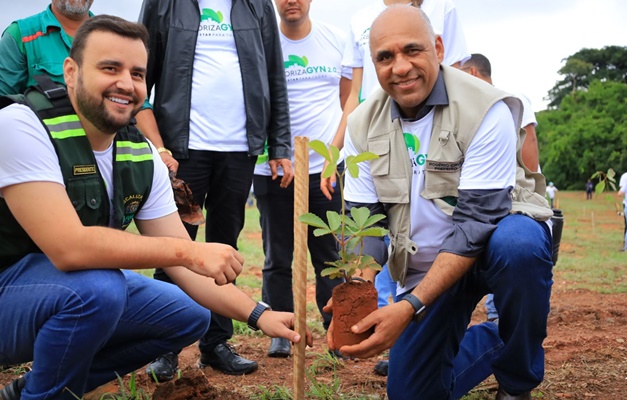 Projeto Rearboriza chega até avenidas Araguaia e Tocantins, em Goiânia