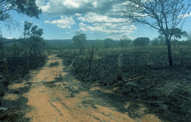 Proprietários rurais vão responder por incêndios na Chapada dos Veadeiros