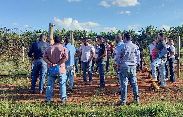 Publicado edital para seleção do projeto Fruticultura do Vão do Paranã