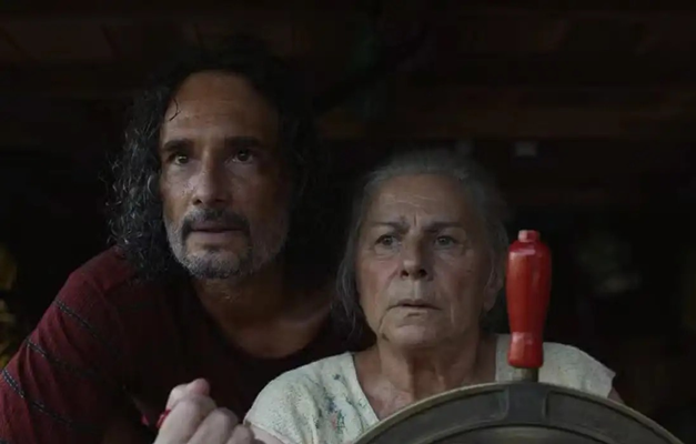 Público de filmes brasileiros no cinema cresce e chega a 11,2% em 2025