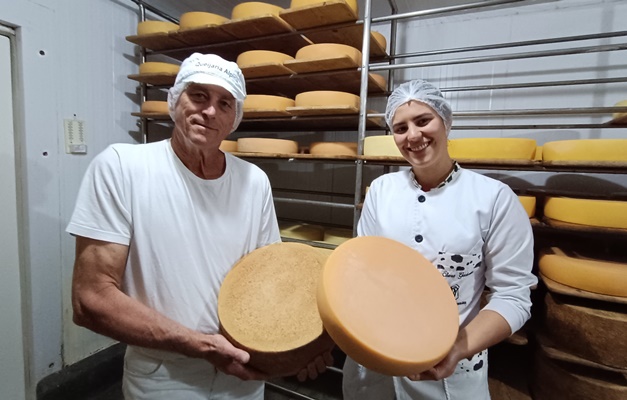 Queijo artesanal produzido em Goiás é destaque em concursos internacionais