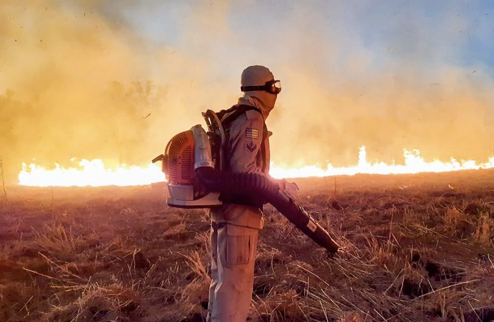 Queimadas em lotes: entenda os riscos e saiba como denunciar em Goiânia 