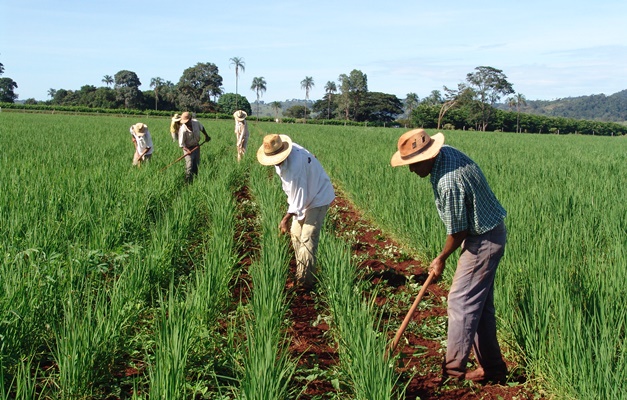 Rio Verde recebe Encontro da Agricultura Familiar a partir de segunda (19)