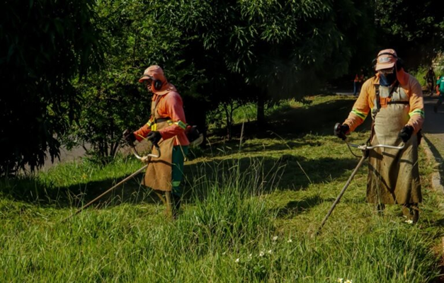 Roçagem: Aprovada responsabilização da Prefeitura por danos a cidadãos
