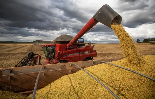 Safra de soja terá novo recorde em 2026, aponta IBGE